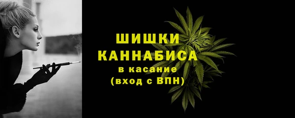 бошки Ладушкин
