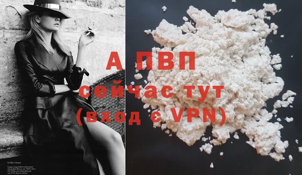 бошки Ладушкин