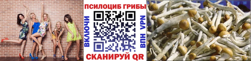 Галлюциногенные грибы мухоморы  купить наркоту  Нефтегорск 